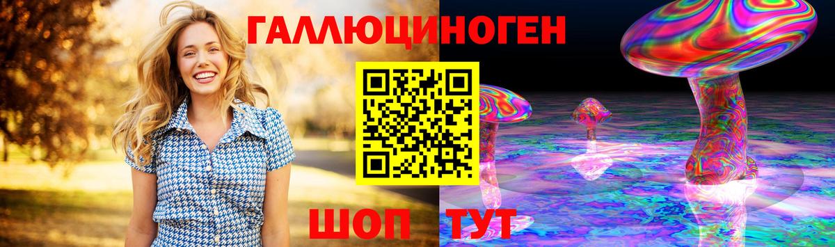 Галлюциногенные грибы Psilocybe Элиста