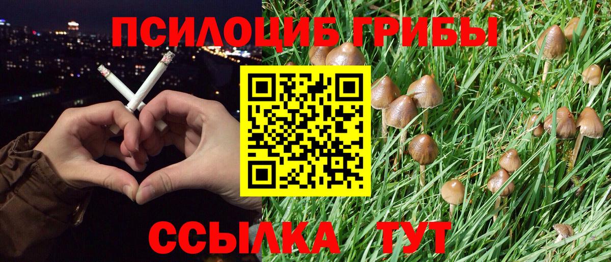 Псилоцибиновые грибы Magic Shrooms  Галлюциногенные грибы ЛСД  Вход с VPN  Элиста 
