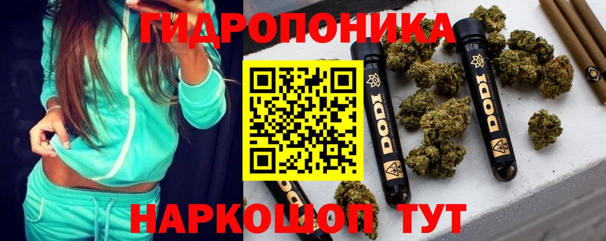 Шишки марихуана OG Kush Элиста